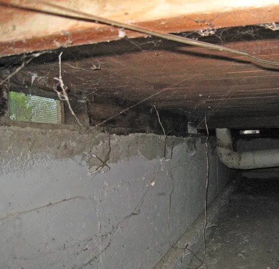 Crawl Space Mold Removal in Chapel Hill, NC