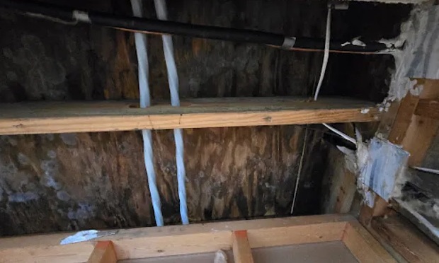 Attic Mold Remediation in Chapel Hill, NC