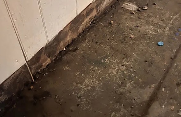 Sewage Backup Cleanup in Chapel Hill, NC